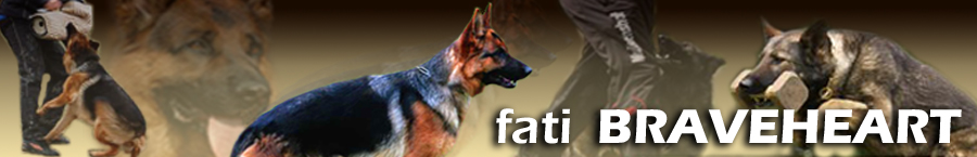 ioelybanner