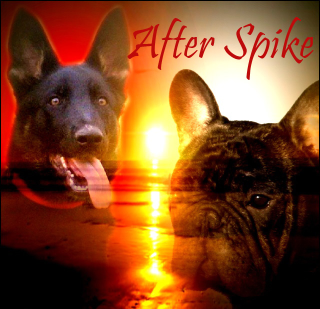 afterspike