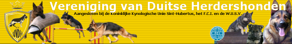 vvdh